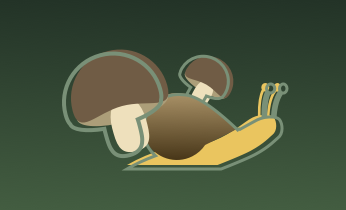 Snails & Mushrooms
