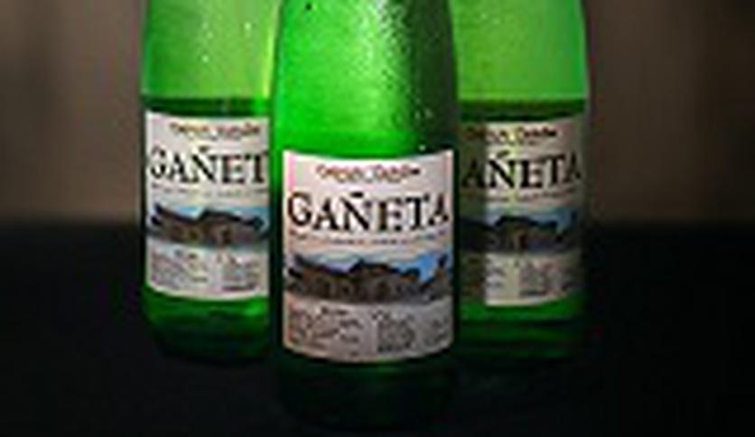 Local products TXAKOLÍ DE GETARIA (GAÑETA)